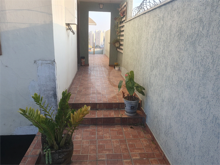 Foto REO1111333
