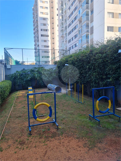 Foto REO1111341