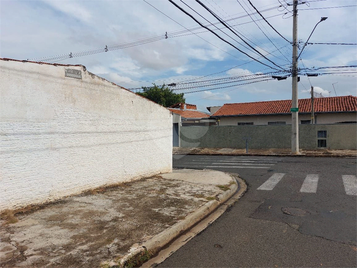 Foto REO1111342