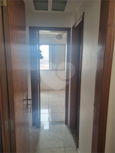 Foto REO1111348
