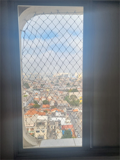 Foto REO1111348