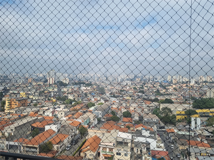 Foto REO1111348