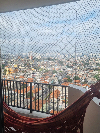 Foto REO1111348
