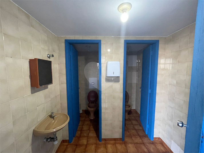 Foto REO1111354