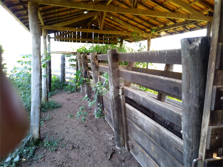 Foto REO1111360