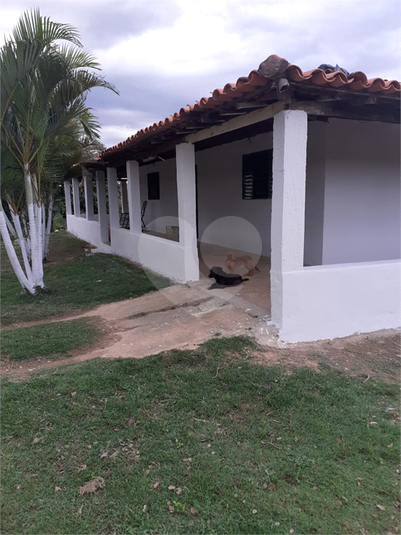 Foto REO1111360