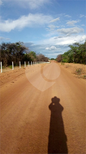 Foto REO1111360