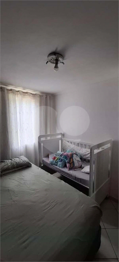 Foto REO1111367