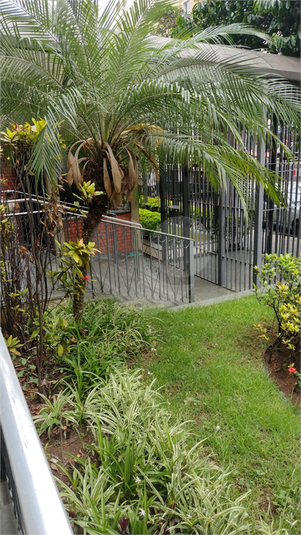 Foto REO1111368