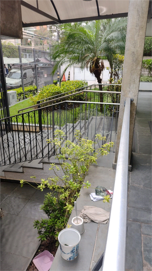 Foto REO1111368