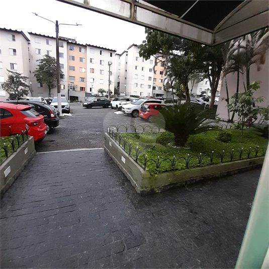 Foto REO1111431