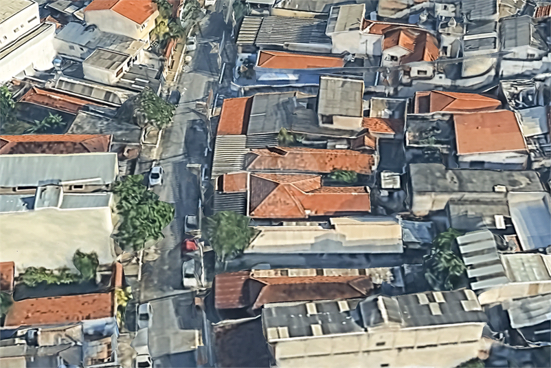 Foto REO1111443