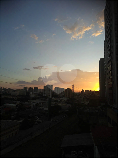 Foto REO1111444