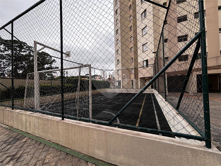 Foto REO1111455