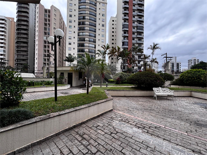 Foto REO1111455