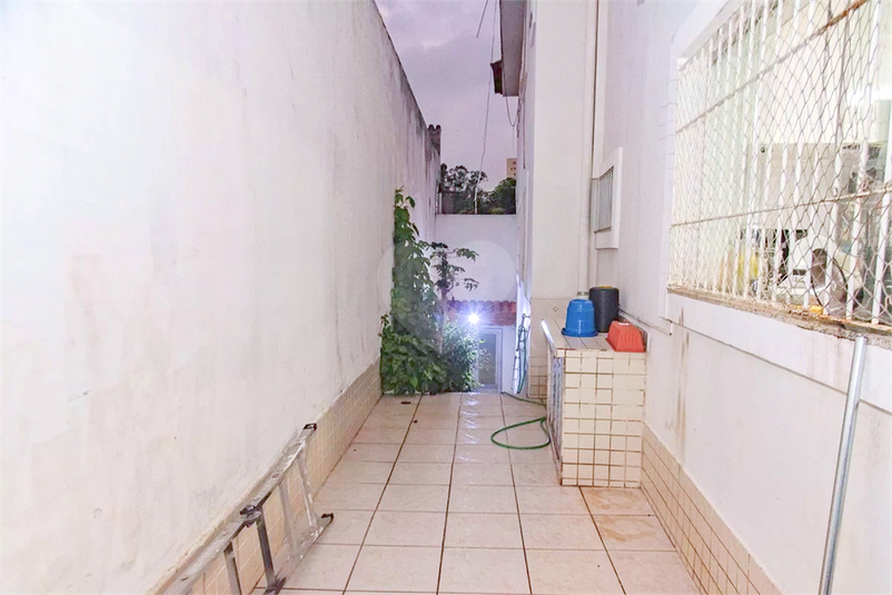 Foto REO1111456