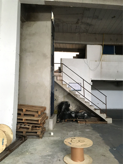 Foto REO1111462