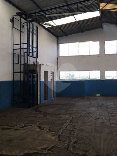 Foto REO1111462