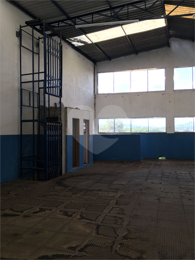Foto REO1111462
