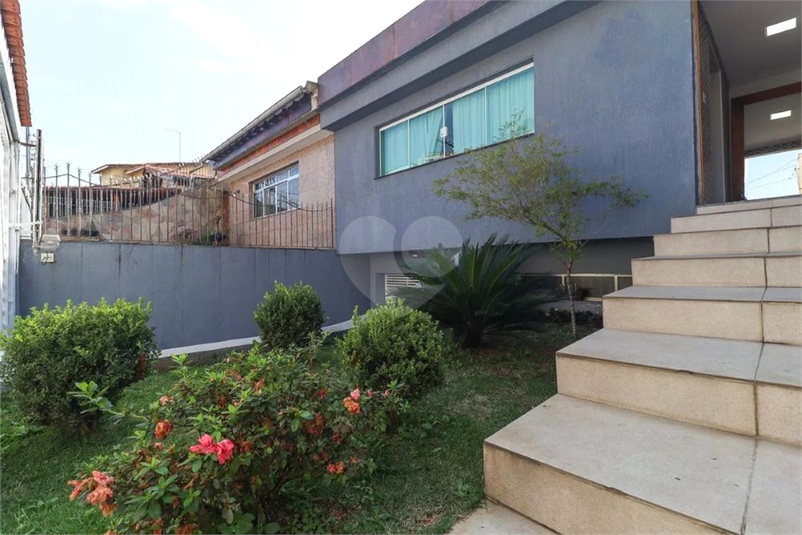 Foto REO1111469