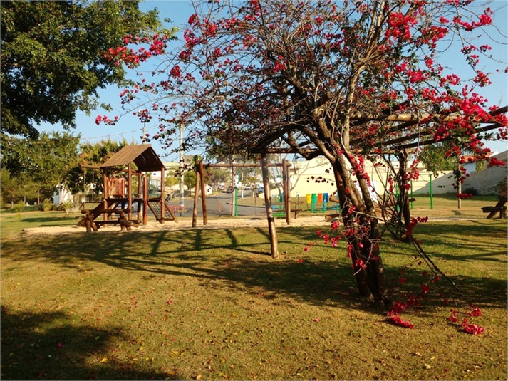 Foto REO1111473
