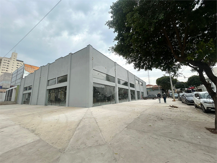 Foto REO1111482