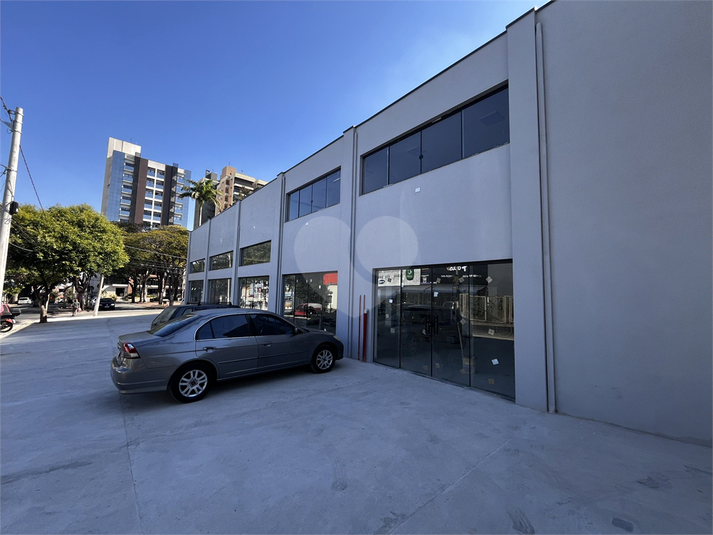 Foto REO1111482