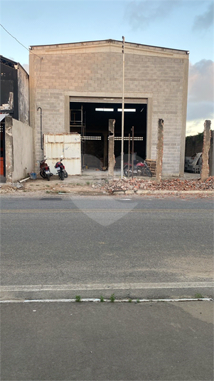 Foto REO1111488