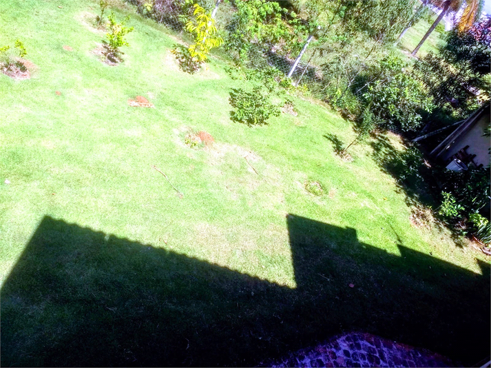Foto REO1111499