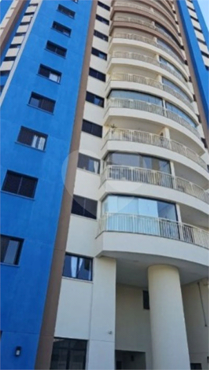 Foto REO1111512