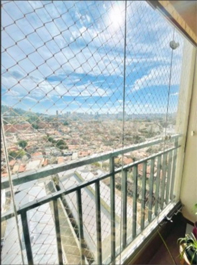 Foto REO1111523