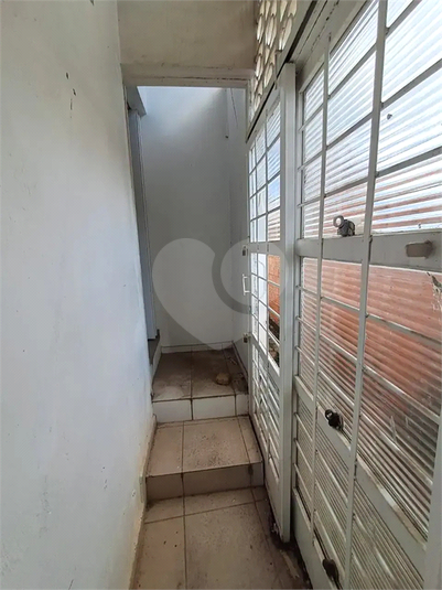 Foto REO1111524