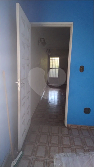 Foto REO1111529