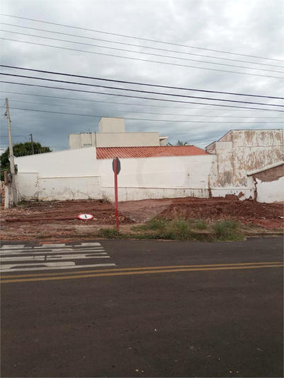 Foto REO1111539