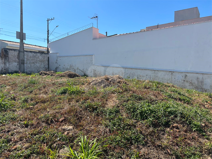 Foto REO1111539