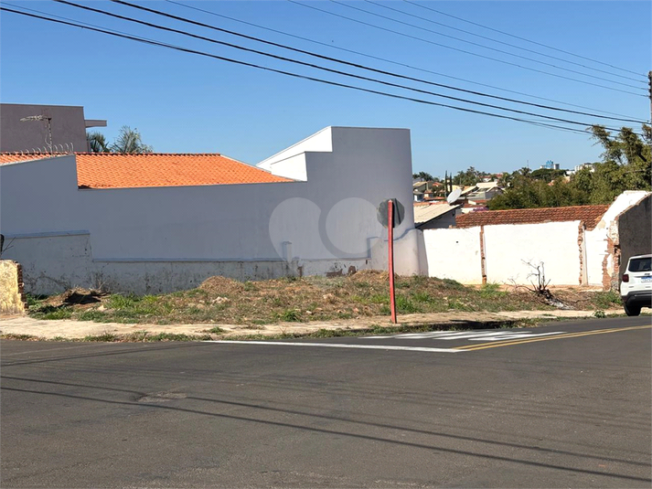 Foto REO1111539