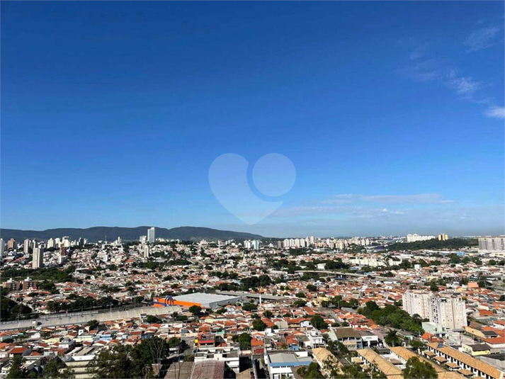 Foto REO1111559