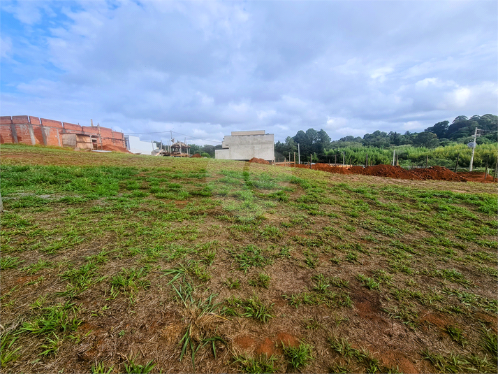 Foto REO1111568