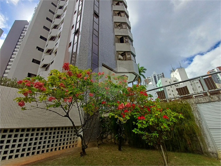 Foto REO1111578