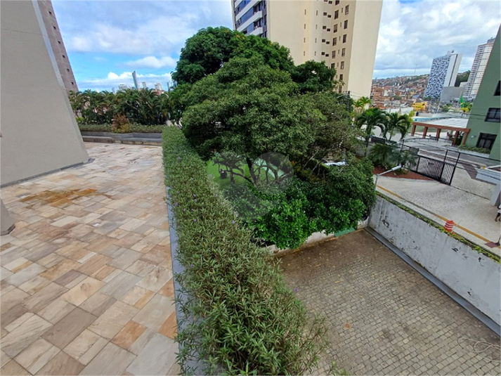 Foto REO1111578