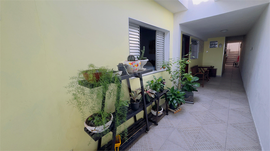 Foto REO1111589