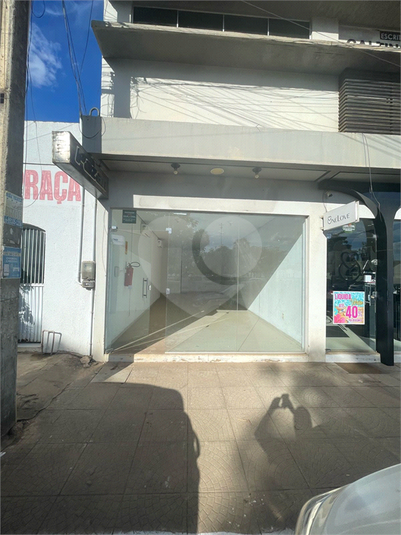 Foto REO1111597