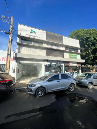 Foto REO1111597