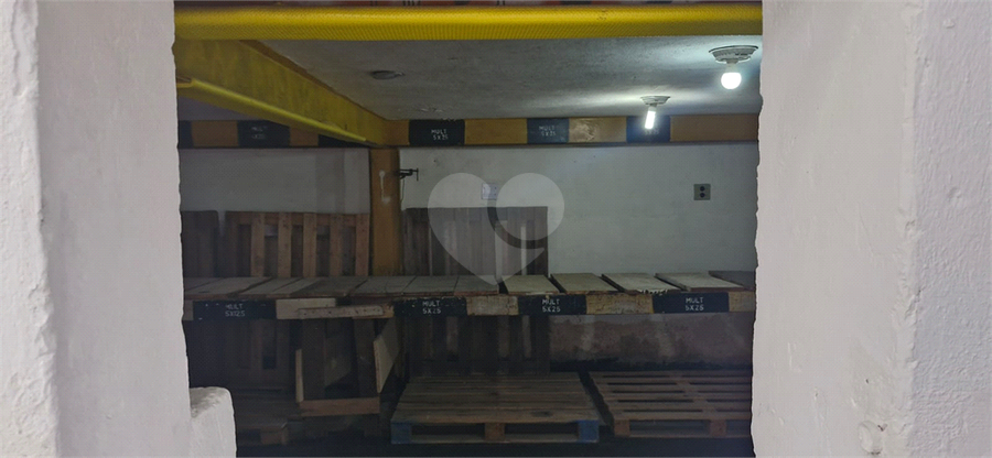 Foto REO1111602