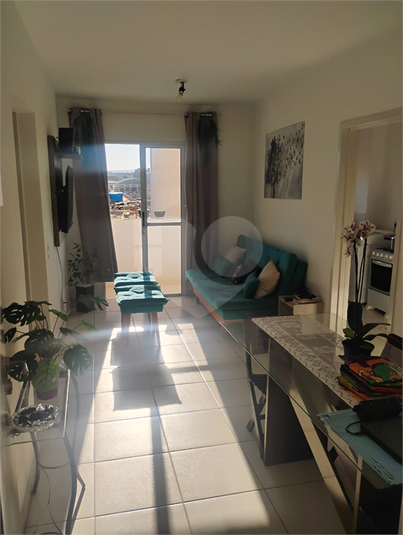 Foto REO1111625