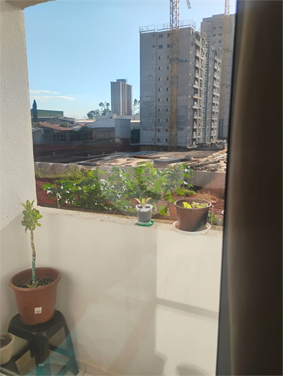 Foto REO1111625