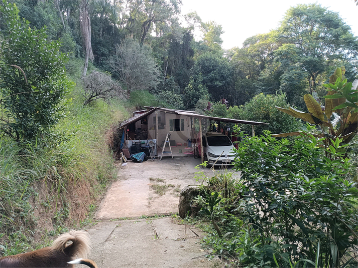 Foto REO1111640