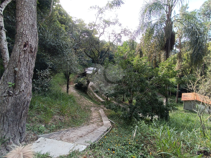 Foto REO1111640
