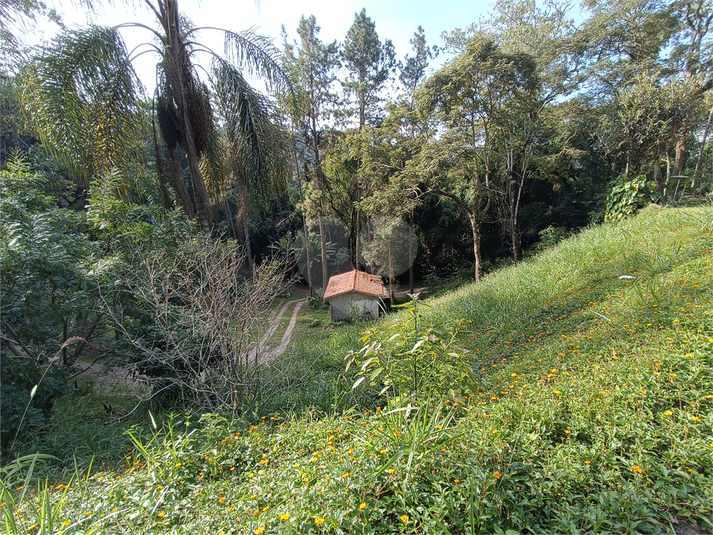 Foto REO1111640