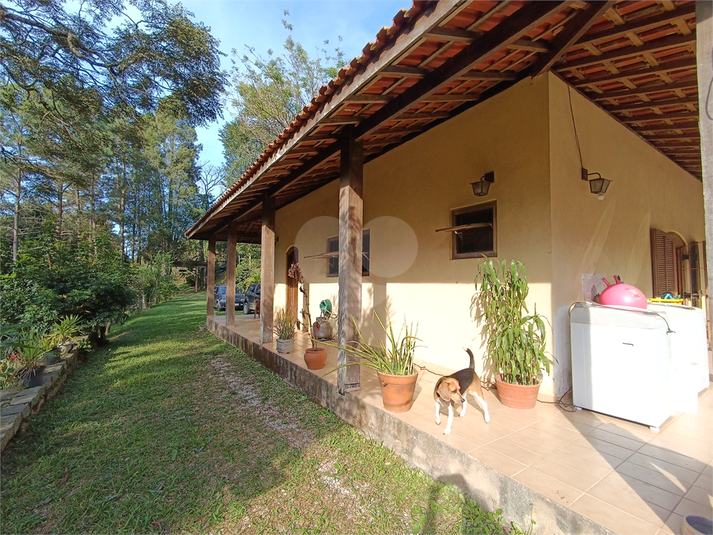 Foto REO1111640